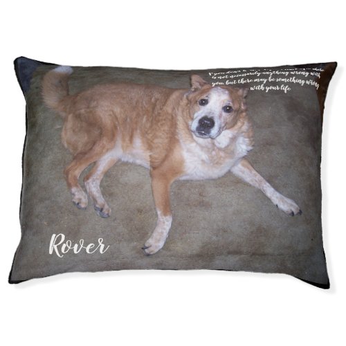 Photo of Ginger Dog Name and Quote Pet Bed