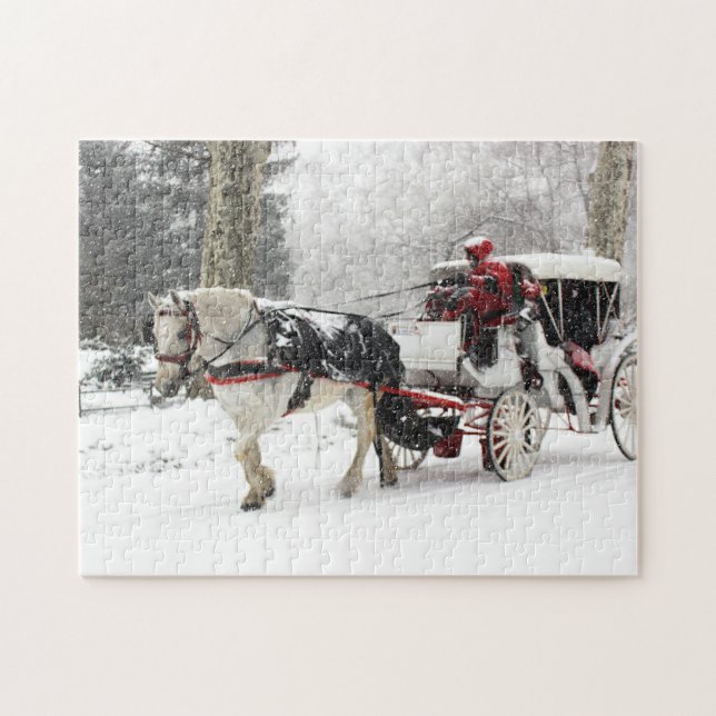Photo of Horse and Buggy in Central Park Winter Jigsaw Puzzle (Horizontal)