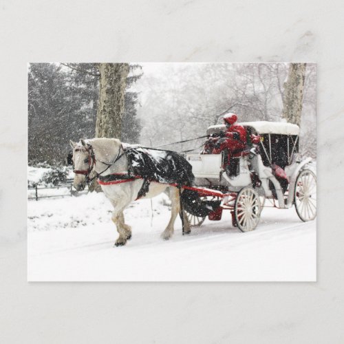 Photo of Horse and Buggy in Central Park Winter Postcard