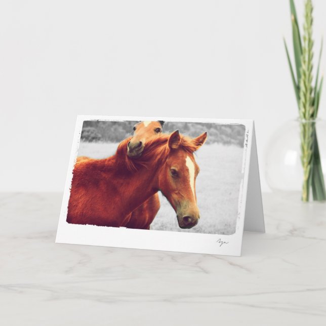 Photo of horses card (Front)
