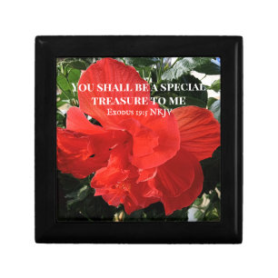 Photo of Orange Double Hibiscus Flower Bible Verse Gift Box