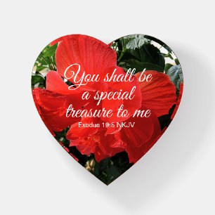 Photo of Orange Hibiscus Flower Bible Verse Paperweight