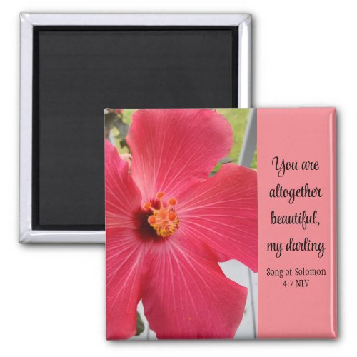 Photo of Pink Flower Song of Solomon Bible Verse Magnet