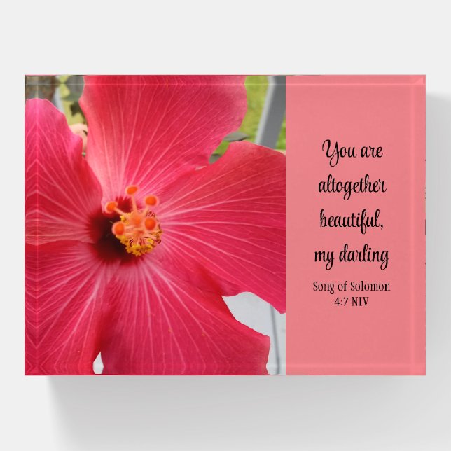 Photo of Pink Flower Song of Solomon Bible Verse Paperweight (Front)