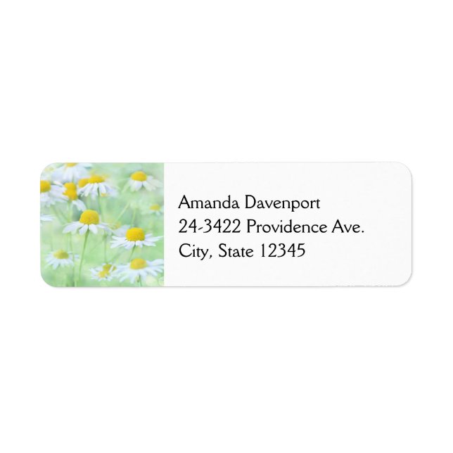 Photo of Pretty Daisies in a Field Label (Front)