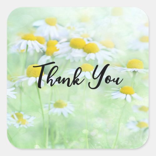 Photo of Pretty Daisies in a Field Thank You Square Sticker