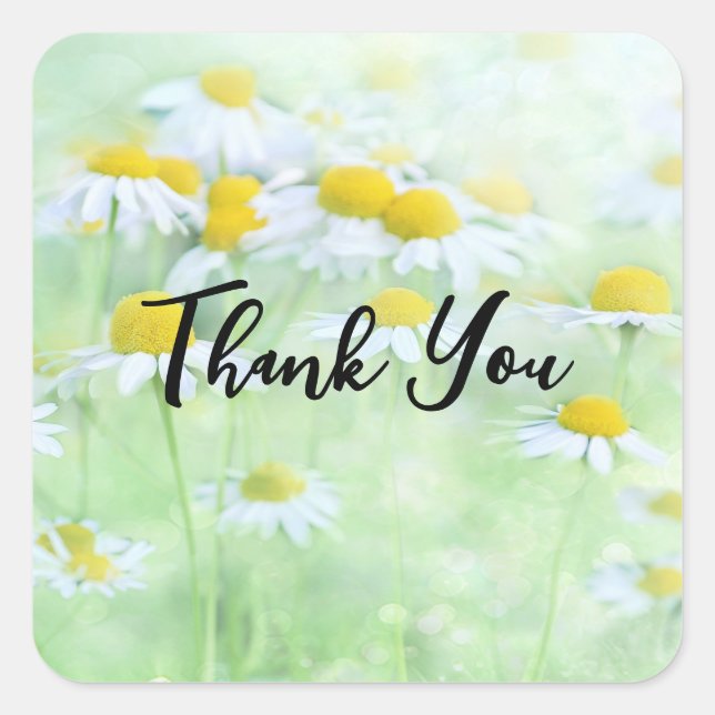 Photo of Pretty Daisies in a Field Thank You Square Sticker (Front)