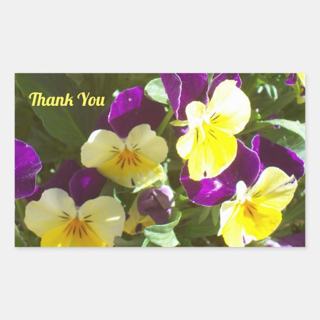 Photo of Purple and Yellow Pansies Thank You Rectangular Sticker (Front)