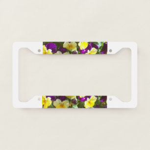 Photo of Purple and Yellow Pansy Flowers License Plate Frame