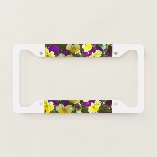 Photo of Purple and Yellow Pansy Flowers License Plate Frame (Front)