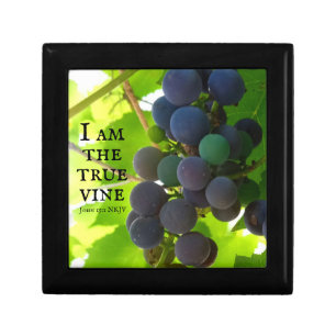Photo of Purple Grapes Gospel of John Bible Verse Gift Box