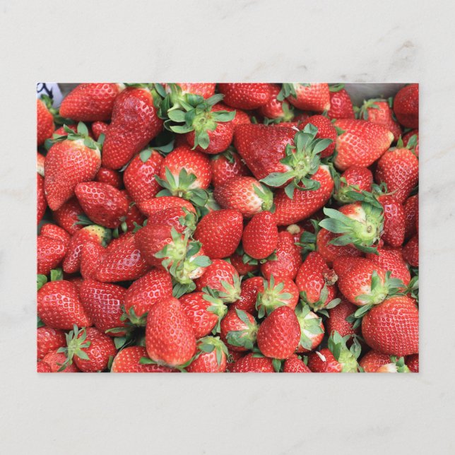 Photo of Red Juicy Strawberries Postcard (Front)