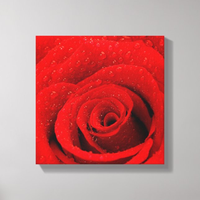Photo of Red Rose Background Canvas Print (Front)