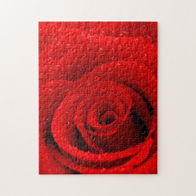 Photo of Red Rose Background Jigsaw Puzzle (Vertical)