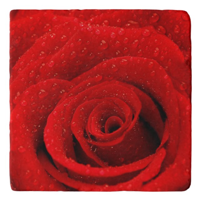 Photo of Red Rose Background Trivet (Front)