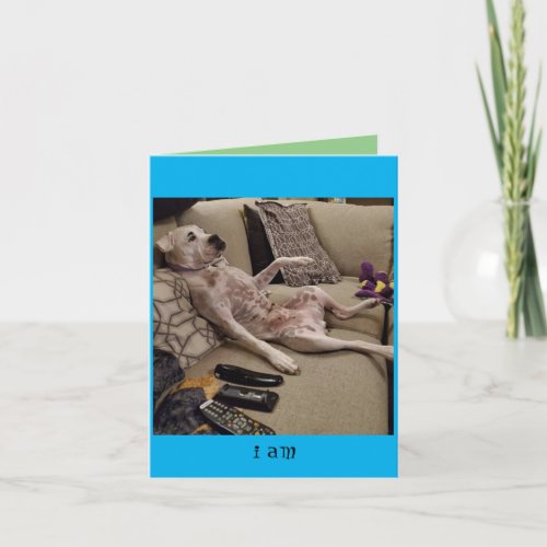 photo of rescue Boxer splayed out relaxed on couch Note Card