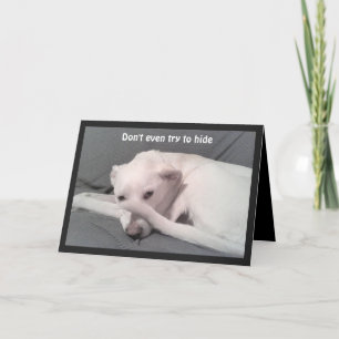 Photo of Sad Depressed Dog 40th Birthday Gray  Card