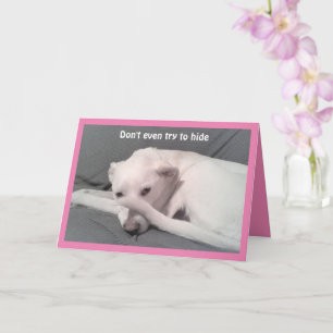 Photo of Sad Dog Hiding Behind Tail 40th Birthday Card