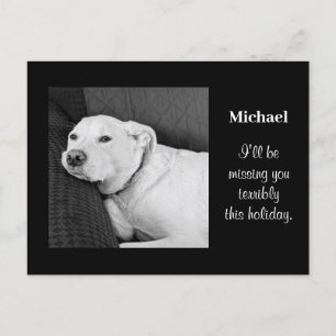 Photo of Sad Dog Missing You Black and White B & W Holiday Postcard