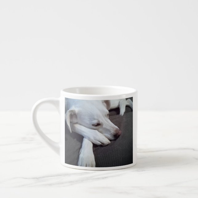 Photo of Sleeping Dog Speedy Recovery Get Well Espresso Cup (Left)