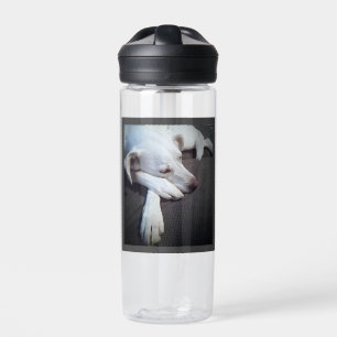 Photo of Sleeping Dog Speedy Recovery Get Well Water Bottle