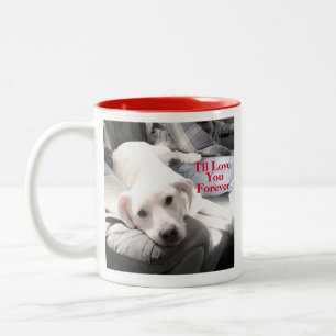 Photo of Super Cute Puppy Dog Forever Love Red Two-Tone Coffee Mug