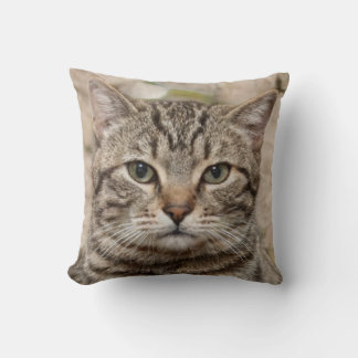 Photo of the serious tiger cat - lovers of cats throw pillow
