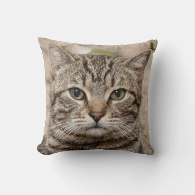 Photo of the serious tiger cat - lovers of cats throw pillow (Front)