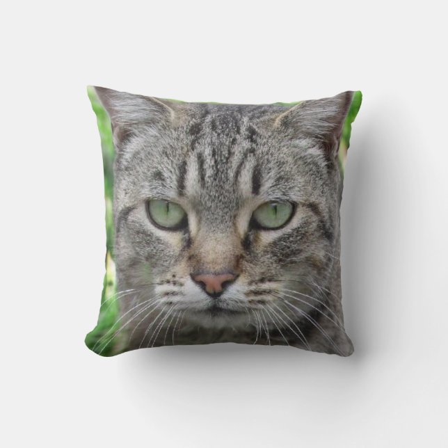 Photo of the wonderful tiger cat - cat lovers throw pillow (Front)