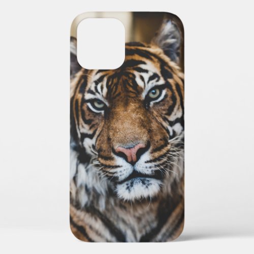 PHOTO OF TIGERS FACE iPhone 12 CASE