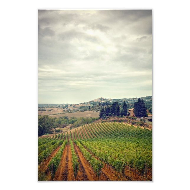 Photo of Tuscany vineyard with gloomy sky (Front)