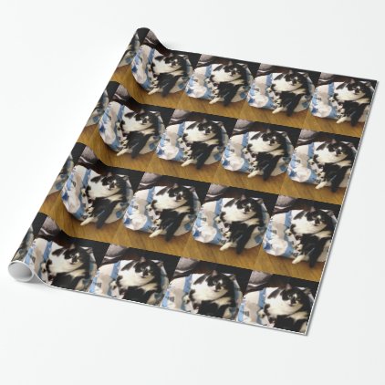 Photo of Tuxedo Cat on Christmas Wrapping Paper