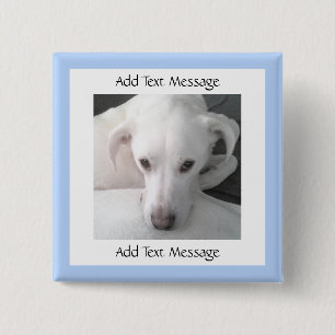 Photo Of Unique White Labrador Retriever Mix Dog Button