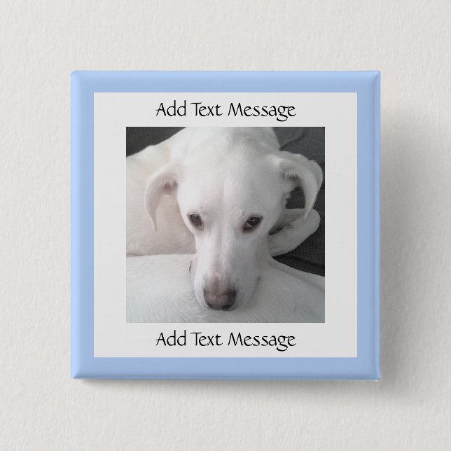 Photo Of Unique White Labrador Retriever Mix Dog Button (Front)