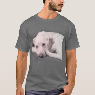 Photo of White Cute Dog With Curvy Tail Gray T-Shirt