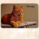 Photo of Your Pet Template Add Name 4 x 6 Magnet<br><div class="desc">Photo of Your Pet Template Add Name 4 x 6 Magnet Made in the USA</div>