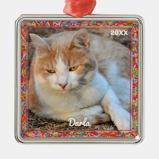 Photo Ornament - HAMbyWG (Front)