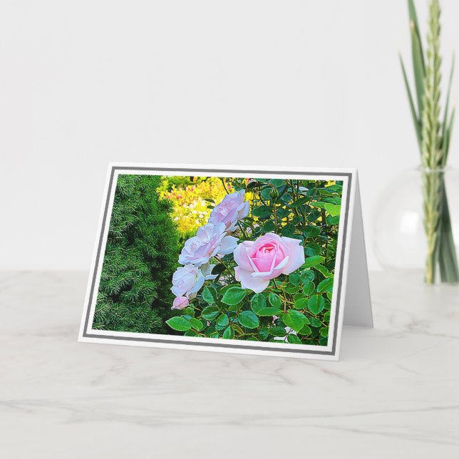 Photo Pale Pink Climbing Roses With Green Foliage Card (Front)