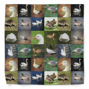 Photo Patchwork - Birds Bandana