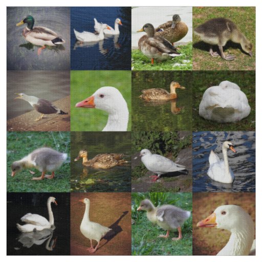 Photo Patchwork - Birds Fabric