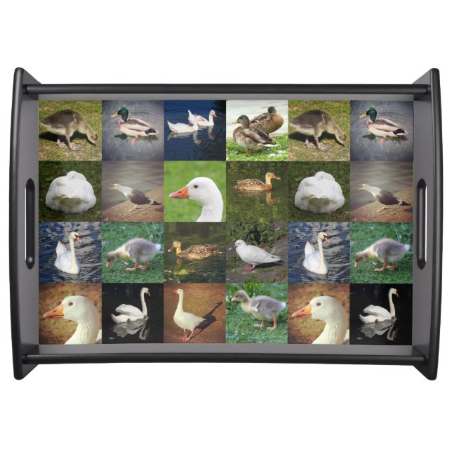 Photo Patchwork - Birds Serving Tray (Front)