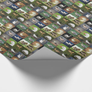 Photo Patchwork - Birds Wrapping Paper