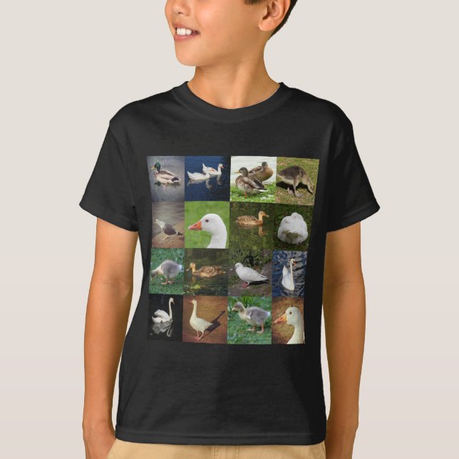 Photo Patchwork Square - Birds T-Shirt (Front)