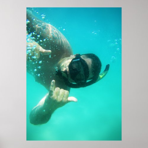 photo perfect snorkeling poster