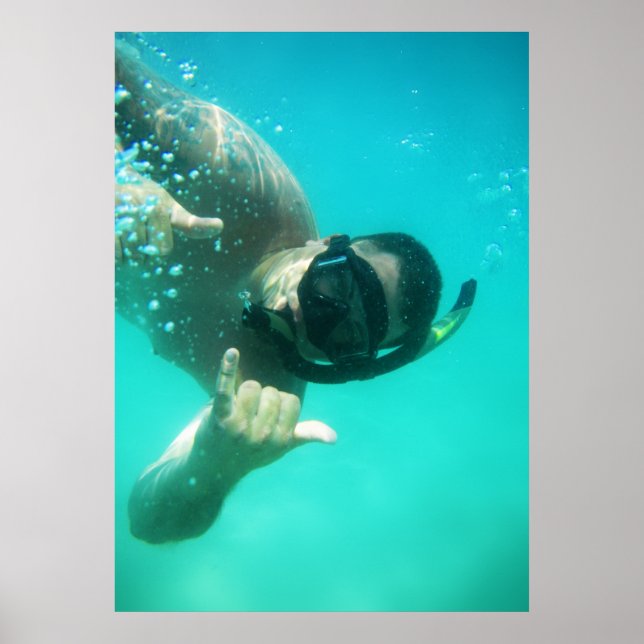 photo perfect snorkeling poster (Front)