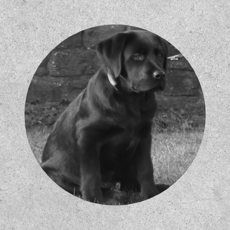 Photo Personalized Custom Patch Zazzle