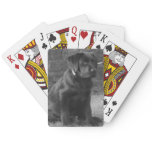 Photo Personalized Custom Playing Cards Photo Personalized Custom Playing Cards