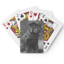 Photo Personalized Custom Playing Cards Photo Personalized Custom Playing Cards