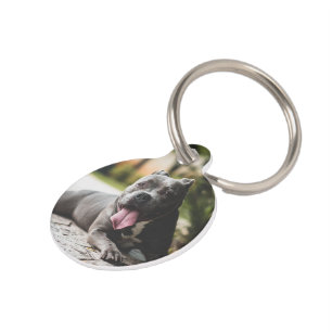 Photo Personalized in Memorial Pet ID Tag