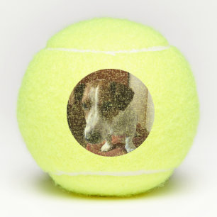 Photo personalized tennis balls Tennis balls